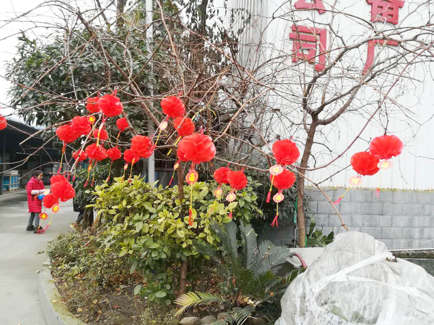四川91在线看片软件手机看片网址设备公司年会4