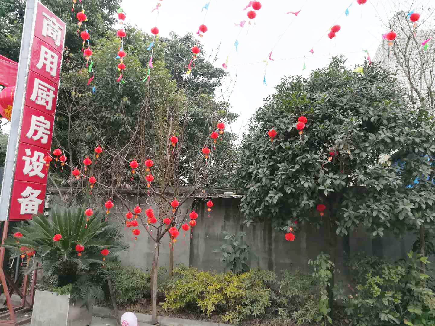 四川91在线看片软件手机看片网址设备公司年会5