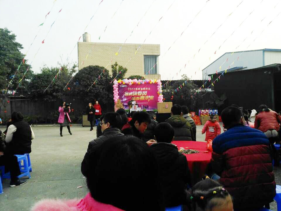 欢祝91在线看片软件2017年新春团拜会顺利召开