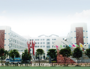 乐山外国语小学学校食堂手机看片网址设备工程项目