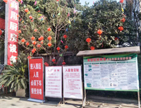 疫情无情人有情，我为抗疫做贡献！